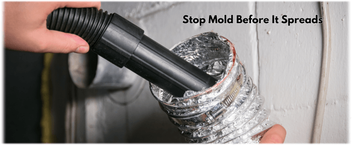 Air Duct Mold Removal in Plano