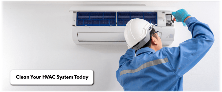 HVAC Mold Removal Plano